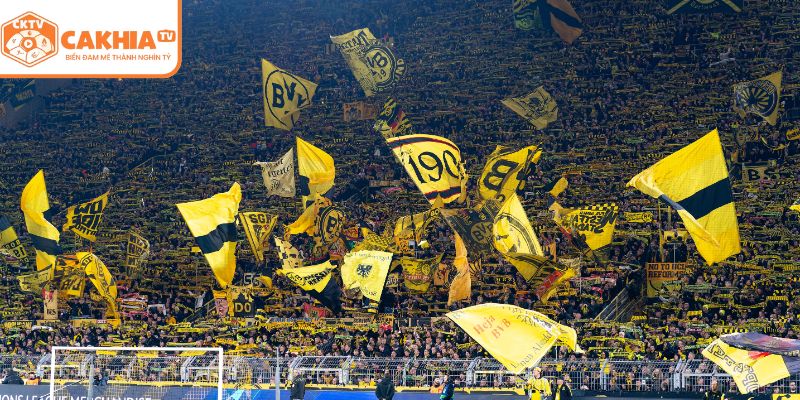 Sự ra đời của “bức tường vàng”